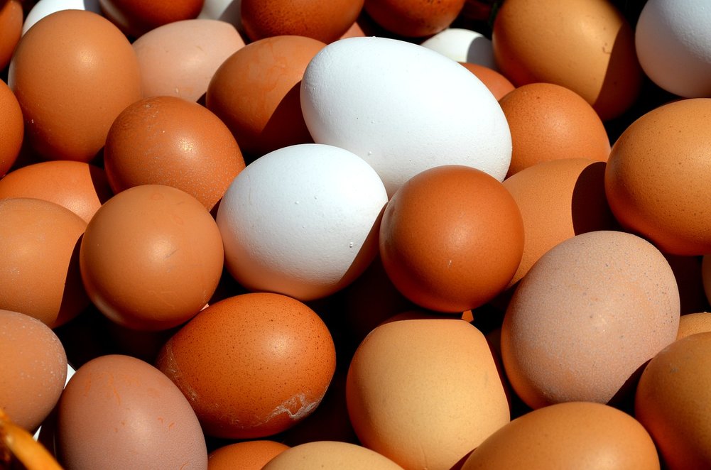 Chicken eggs