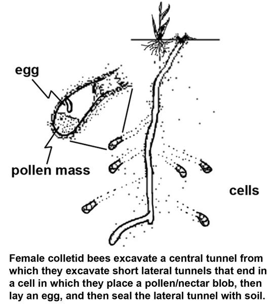 Polyester Bees