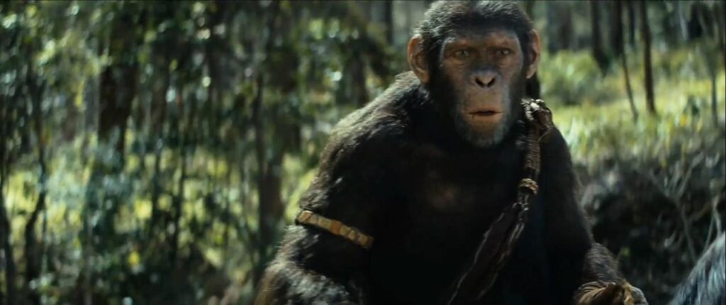 Kingdom Of The Planet Of The Apes